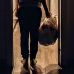 adult-back-view-bag-1549527 (1)